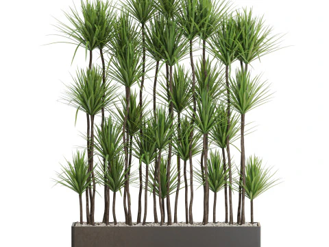 Коллекция растений 685 3D Модель