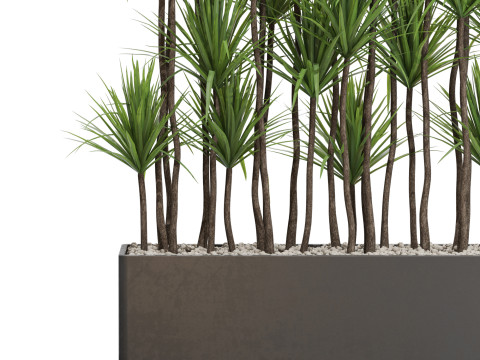 Plants collection 685 3D Model