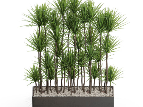 Plants collection 685 3D Model