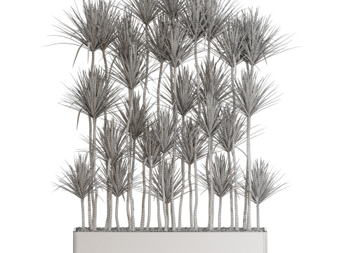 Plants collection 685 3D Model