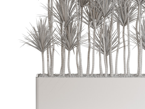 Plants collection 685 3D Model