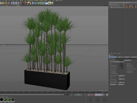 Plants collection 685 3D Model