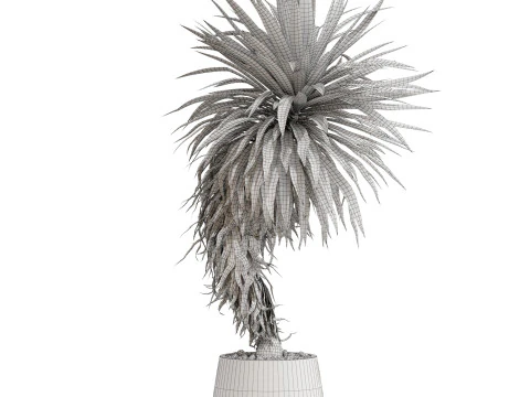 Plants collection 686 3D Model