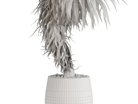 Plants collection 686 3D Model