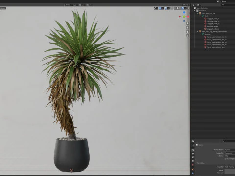 Plants collection 686 3D Model