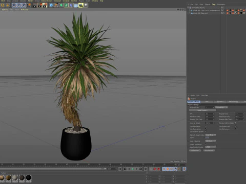 Plants collection 686 3D Model