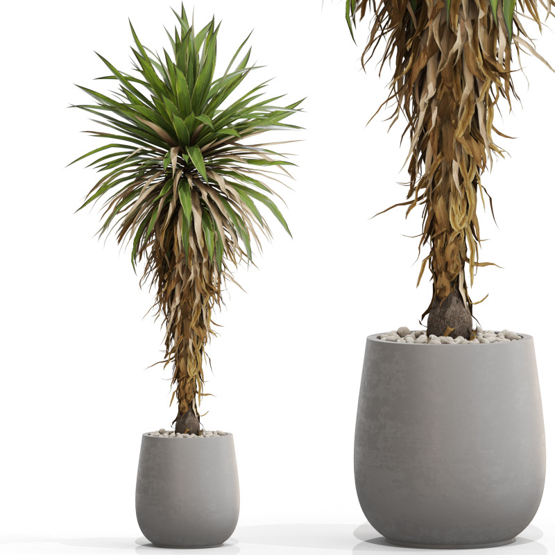 Plants collection 687 3D Model .c4d .max .obj .3ds .fbx .stl .blend