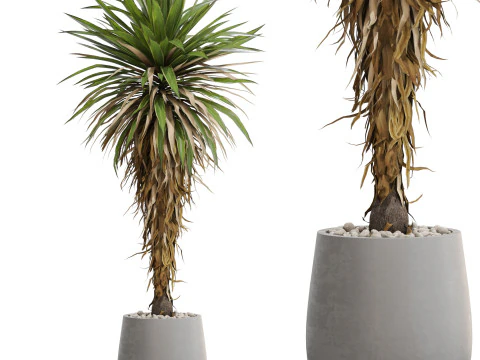 植物コレクション 687 3Dモデル