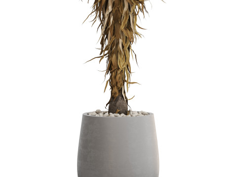 Plants collection 687 3D Model