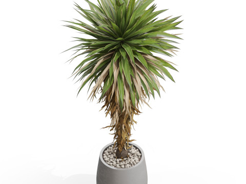 Plants collection 687 3D Model