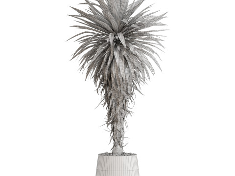 Plants collection 687 3D Model