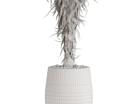 Plants collection 687 3D Model