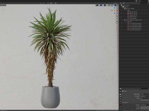 Plants collection 687 3D Model