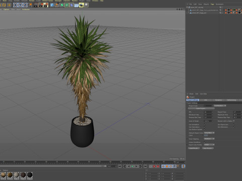 Plants collection 687 3D Model