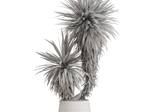 Plants collection 688 3D Model