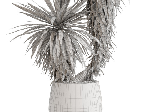 Plants collection 688 3D Model