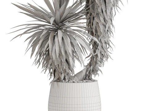 Plants collection 688 3D Model