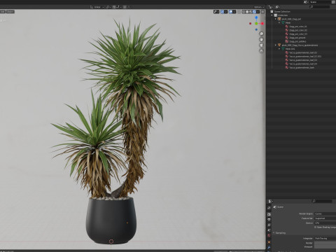 Plants collection 688 3D Model