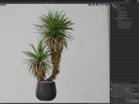 Plants collection 688 3D Model
