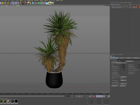 Plants collection 688 3D Model