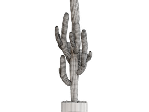 Plants collection 690 3D 모델