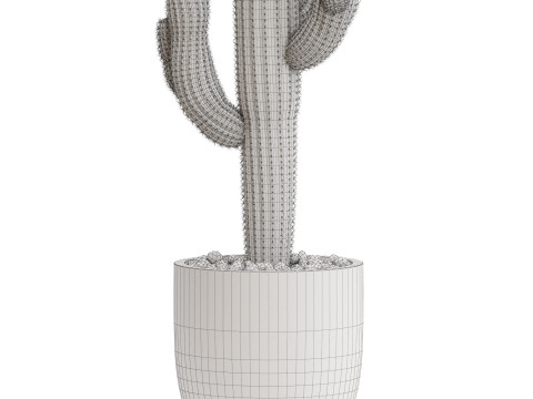 Plants collection 690 3D 모델