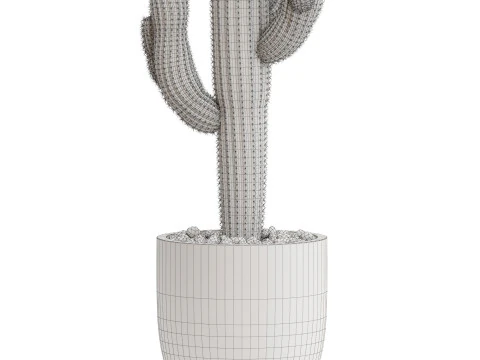 Collezione piante 690 Modello 3D