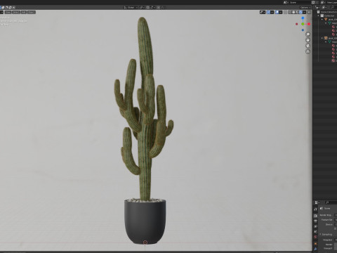 Plants collection 690 3D 모델