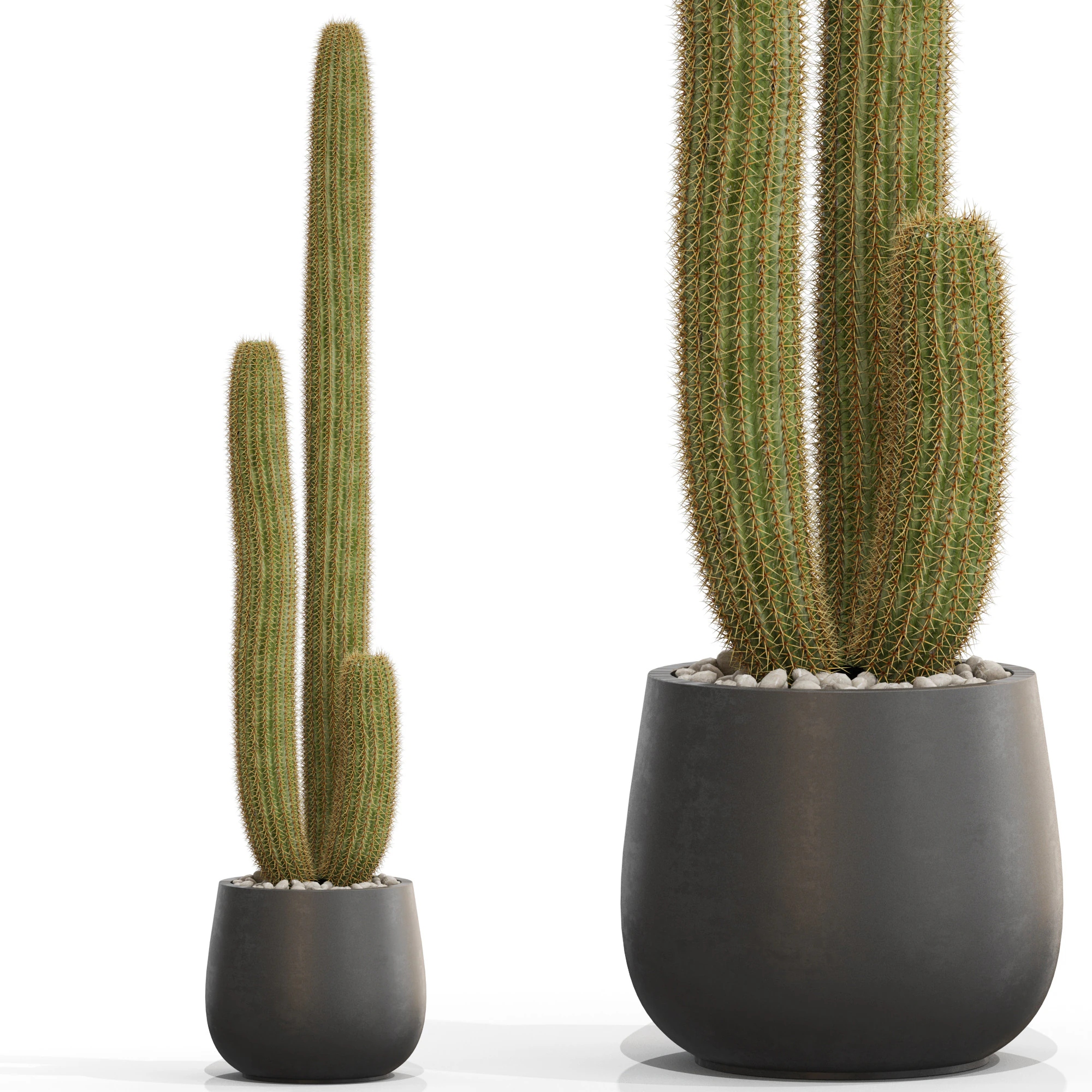 Plants collection 691 3D Model .c4d .max .obj .3ds .fbx .stl .blend 