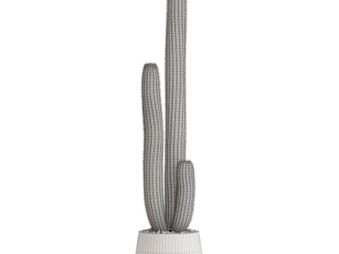 Plants collection 691 3D Model