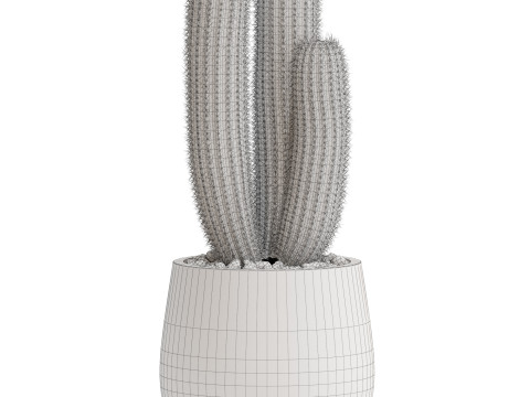 Plants collection 691 3D Model