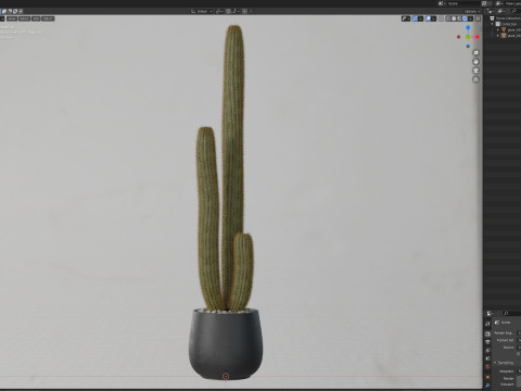 Plants collection 691 3D Model