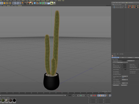 Plants collection 691 3D Model