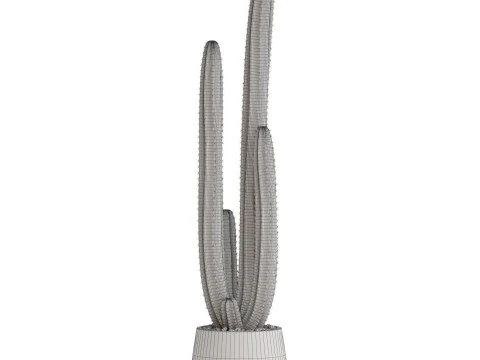 Plants collection 692 3D Model