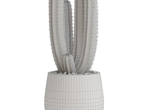 Plants collection 692 3D Model