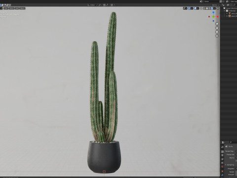Plants collection 692 3D 모델