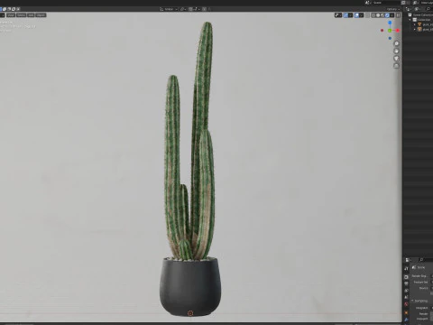 Plants collection 692 3D Model