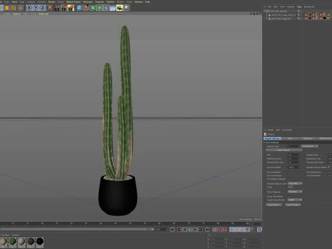Plants collection 692 3D Model