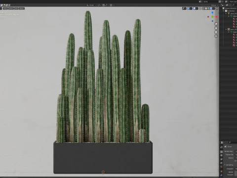 Plants collection 693 3D Model