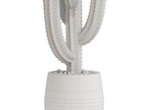 Plants collection 694 3D Model