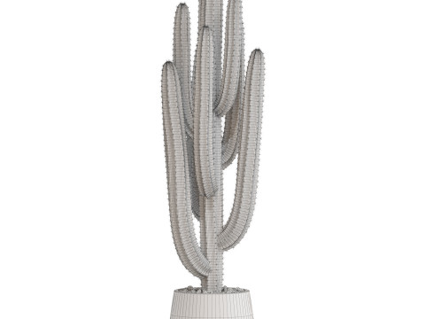 Plants collection 694 3D Model