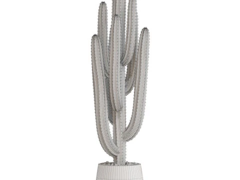 Plants collection 694 3D Model