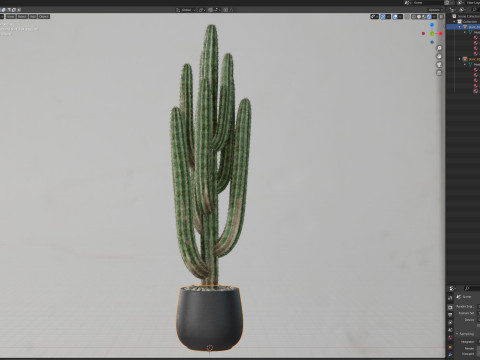 Plants collection 694 3D Model