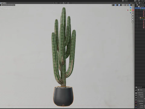 Plants collection 694 3D Model