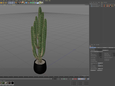 Plants collection 694 3D Model