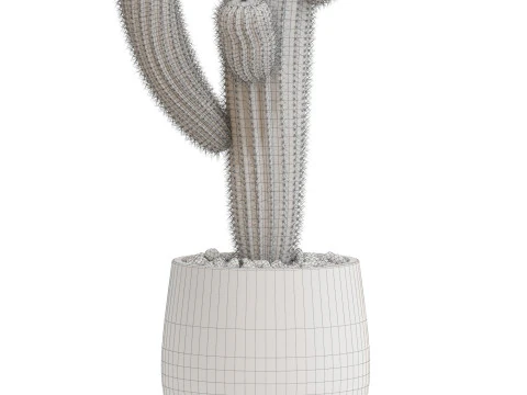 Plants collection 695 3D Model