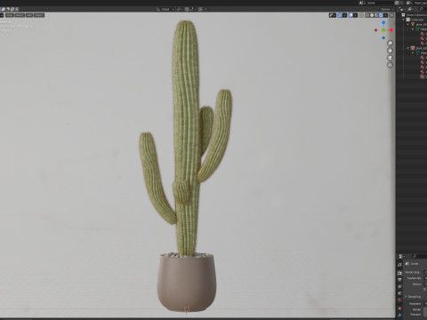 Plants collection 695 3D Model