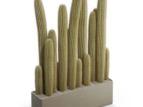 植物收藏 696 3D 模型