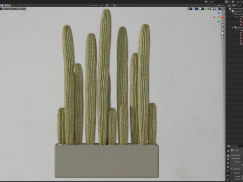 植物收藏 696 3D 模型