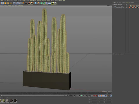 植物收藏 696 3D 模型